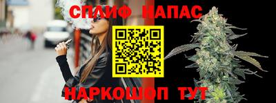 кокс Кингисепп