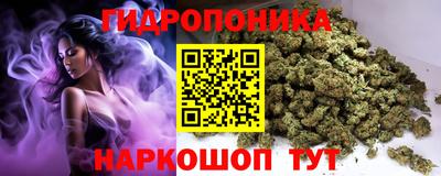 кокс Кингисепп