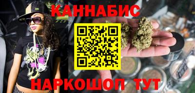 кокс Кингисепп