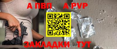 кокс Кингисепп