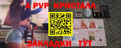 кокс Кингисепп