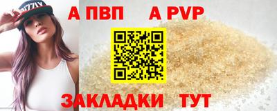 кокс Кингисепп
