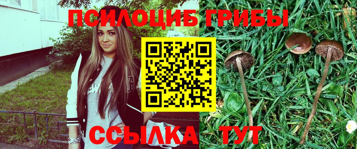 Псилоцибиновые грибы мицелий  Вход с VPN  наркошоп  Псилоцибиновые грибы Magic Shrooms  Кубинка 